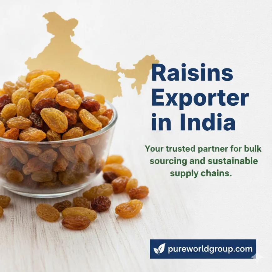 Raisins Exporter in India | Wholesale Bulk Supply – PureWorldGroup