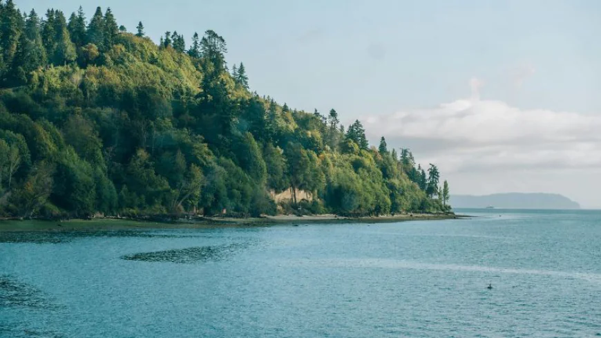 What makes Qatar Airways one of the best airlines in the world?