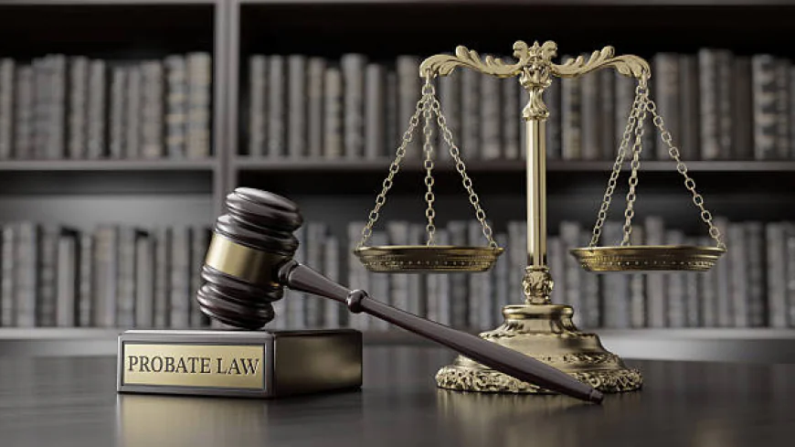 Everything Homeowners Must Know About a Lady Bird Deed in Florida