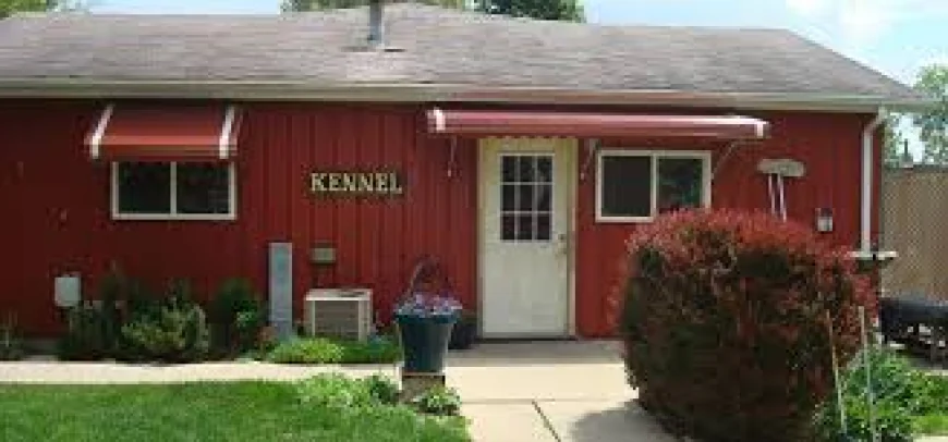 Focus On Keeping Pets Safe, Happy, And Comfortable In Familiar Surroundings