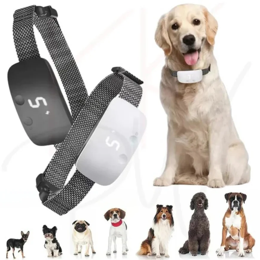 What Types of Stop Barking Devices Are Available?