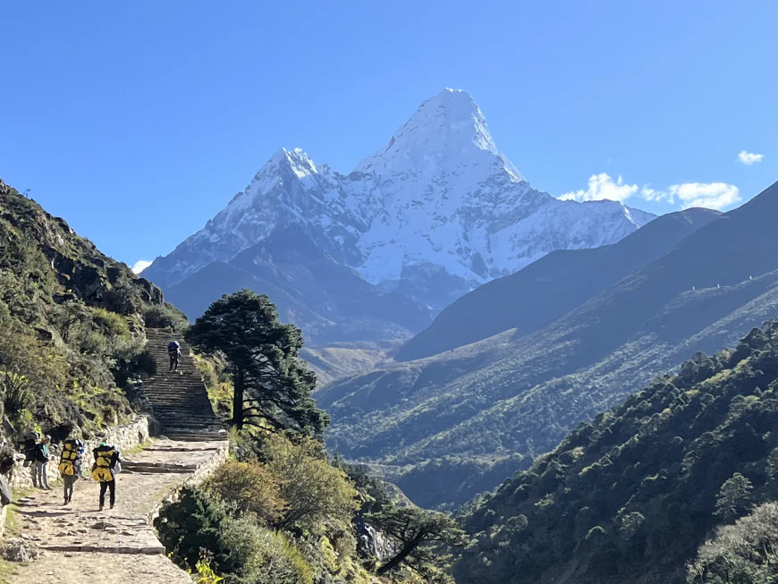 Editor’s Choice: Best Sustainable Swimwear Brands