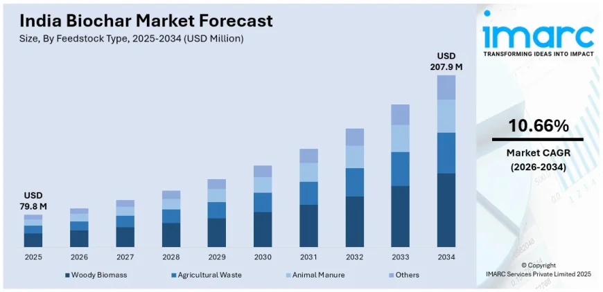 India Biochar Market Growth, Share, and Trends Forecast 2026-2034