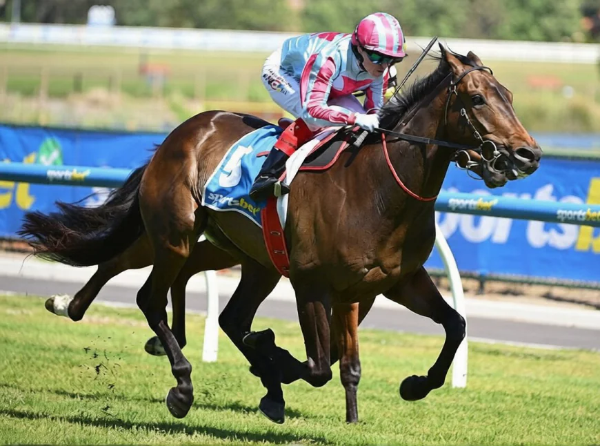 A Complete Guide to Saturday’s Tripod Of Winners Strategy