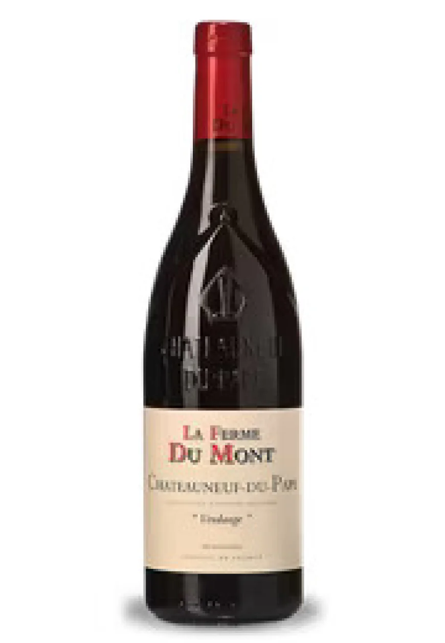 Entdecken Sie Piemontesische Wein: Italiens edelste und lagerfähigste Weine