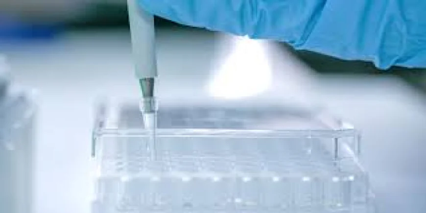 Pharmacokinetics Assays for Small Molecules vs. Biologics