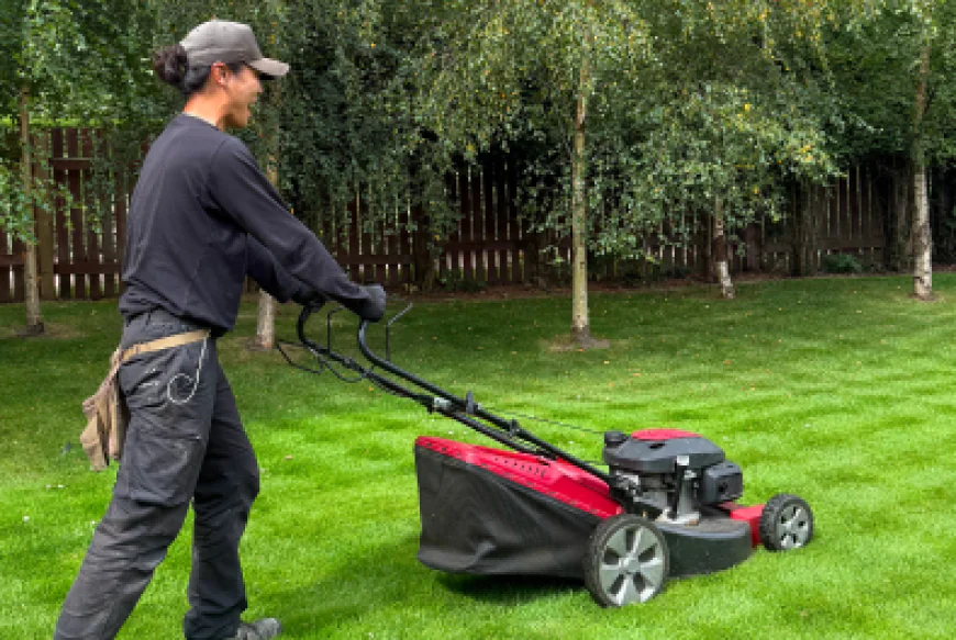 Professional Garden Maintenance Services for a Beautiful Outdoor Space