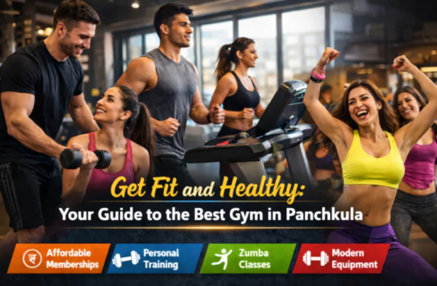 Get Fit and Healthy: Your Guide to the Best Gym in Panchkula