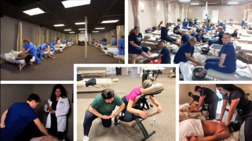 Career Paths After Graduating from Schools for Massage Study Tips