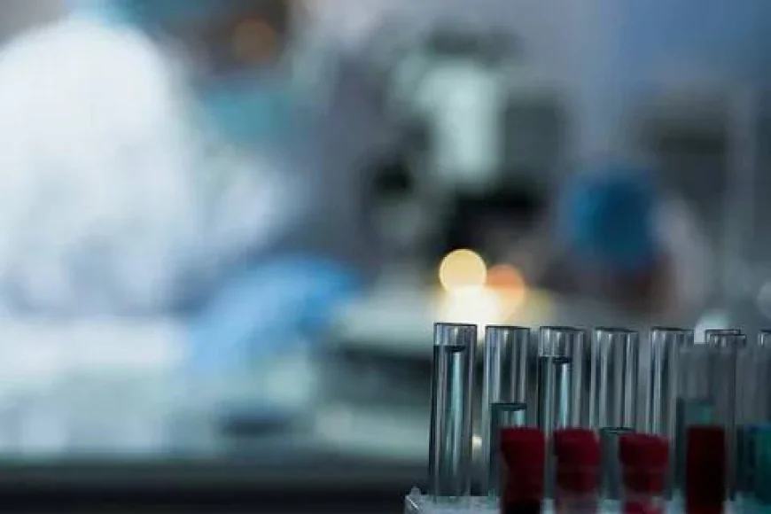 Enfield STD Clinic in Dubai: Advanced Diagnostic Standards Explained