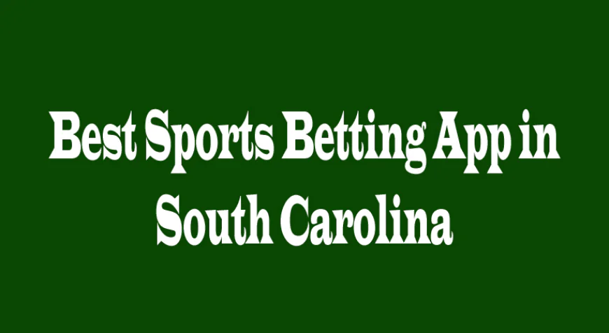 Best Sports Betting App in South Carolina: Five Perspectives for Players