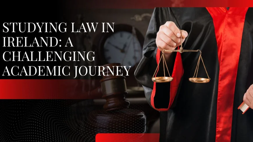 Studying Law in Ireland: A Challenging Academic Journey