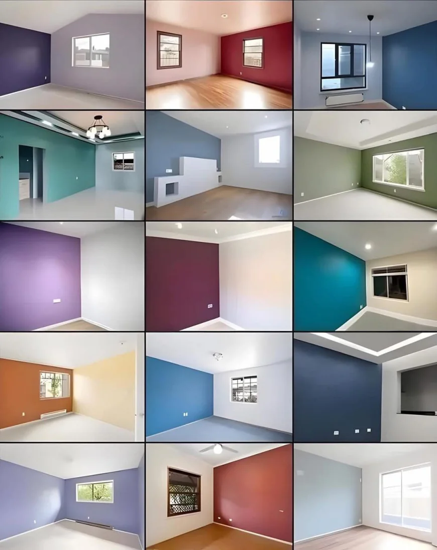 ? Transform Your Walls, Transform Your Space!