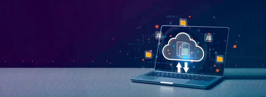 Who is a Salesforce Administrator?