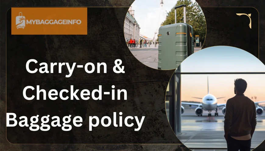 Seat Selection and Upgrade Guidance: Practical Insights for Air Travelers