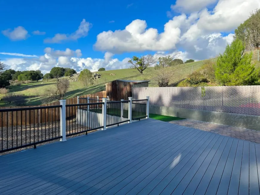 Bringing a Pet? A guest-friendly guide to keeping the furnished rental damage-free