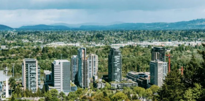 NAEGELI Deposition & Trial Elevates Legal Services in Medford, Oregon