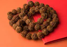 Rudraksha Calculator – Accurate Gemstone & Numerology Guidance for a Better Life