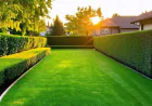 Lawn Care Guide for a Greener, Healthier Yard in Surrey