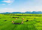 Hiranandani Alibaug – Premium Plots and Luxury Villas in Alibaug
