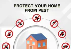 Signs You Need Pest Control Help in Pickering
