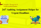 24/7 Auditing Assignment Helper for Urgent Deadlines