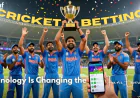 From Street Cricket to Mobile Apps: How Technology Is Changing the Fans Experience 2026