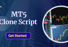 MT5 Clone Script with Secure API Integration and Liquidity Management