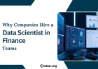 Why Companies Hire a Data Scientist in Finance Teams