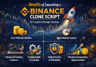 Benefits of Launching a Binance Clone Script for Crypto Exchange Startups