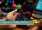 How the Right Crypto Spot Trading Platform Improves Trading Efficiency
