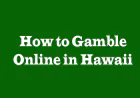 How to Gamble Online in Hawaii: 5 Perspectives for Responsible Players