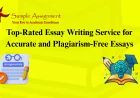 Top-Rated Essay Writing Service for Accurate and Plagiarism-Free Essays