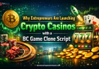 Why Entrepreneurs Are Launching Crypto Casinos with a BC Game Clone Script in 2026