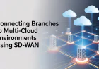 Connecting Branches to Multi-Cloud Environments Using SD‑WAN
