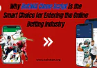 Why Bet365 Clone Script is the Smart Choice for Entering the Online Betting Industry