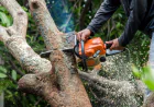 Professional Tree Surgery and Landscaping Services for Healthy and Attractive Outdoor Spaces