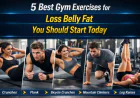 5 Best Gym Exercises for Loss Belly Fat You Should Start Today