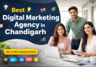 Best Digital Marketing Agency in Chandigarh – Grow Your Business with Hashtag Media And Entertainment India