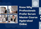 Why Professionals Prefer Scrum Master Course Hyderabad Online
