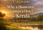 5 Reasons Why a Homestay Trumps a Hotel in Kerala for Real Travelers?