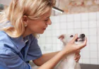 Dental Care for Pets: Why It’s More Important Than You Think