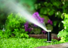 How Professional Irrigation Repair Services in Peoria, AZ Can Save Your Landscape?
