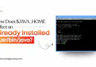 How JAVA_HOME Affects /usr/bin/java: Understanding Java Environment Configuration