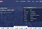 What Can You Discover Using a Reverse Phone Lookup API?