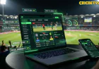 Cricbet99 Green Guide How Online Cricket Betting Is Changing the Game