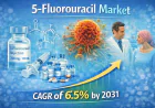 Navigating the Future of Oncology: Global 5-Fluorouracil Market Outlook and Strategic Projections to 2031