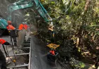 QLD Shotcrete Services: Enhancing Construction Strength with Advanced Soil Stabilisation Techniques