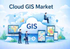 Cloud GIS Market Set to Reach US$ 22.03 Billion by 2031 Driven by Rising Demand for Location Intelligence