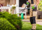 Winter Care Service: Keeping Your Outdoor Spaces Healthy All Season